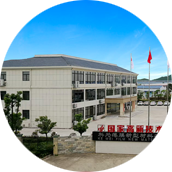 双星科为